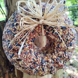 Birdseed Wreath Handmade Hanging garden decor bird seed